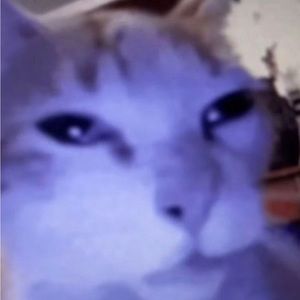 Meet your Posher, Kaidynn